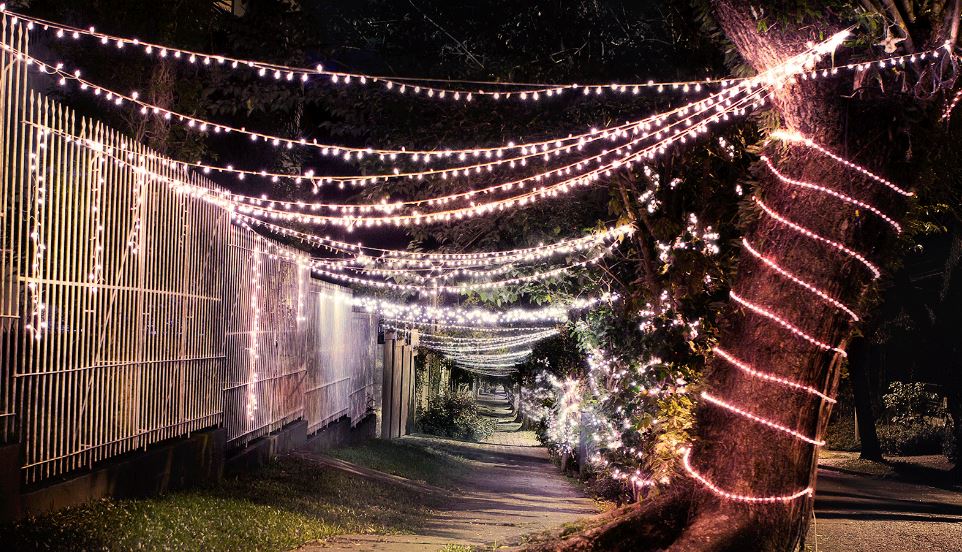 Projeto usa lâmpadas de Natal para iluminar ruas escuras - Jornal Joca