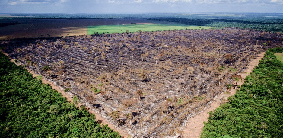 O desmatamento na Amazônia entre agosto de 2018 e julho de 2019 foi o maior da década. Foto: Mayke Toscano/Gcom-MT