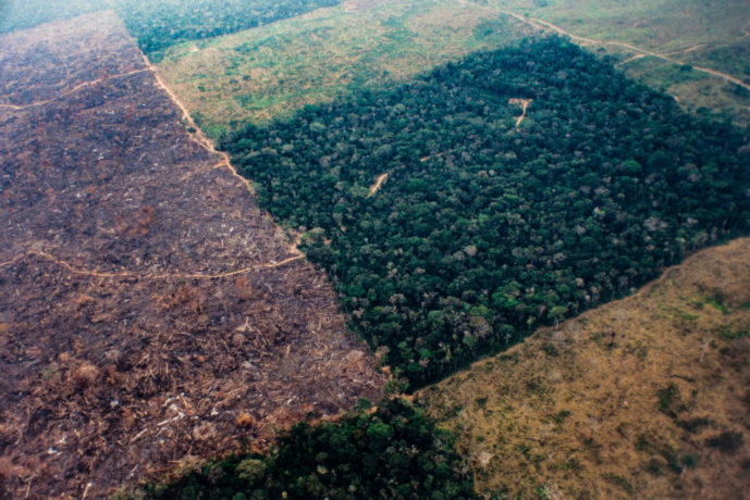 O desmatamento na Floresta Amazônica de agosto de 2018 a julho de 2019 foi o maior da década. Foto: Ricardo Funari/Brazil Photos/LightRocket via Getty Images