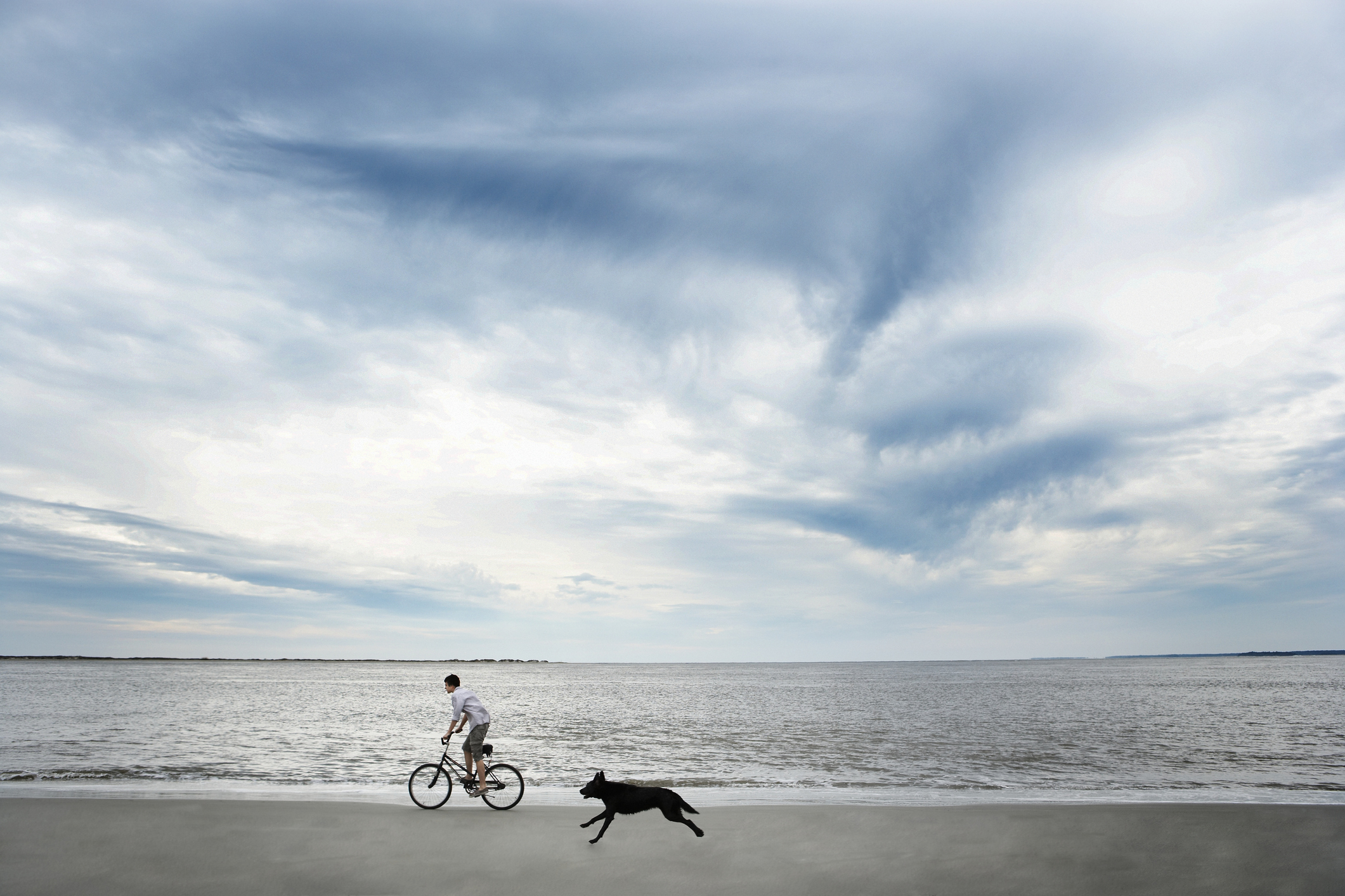 Cachorro correndo atrás de garoto andando de bicicleta. Foto: Getty Images