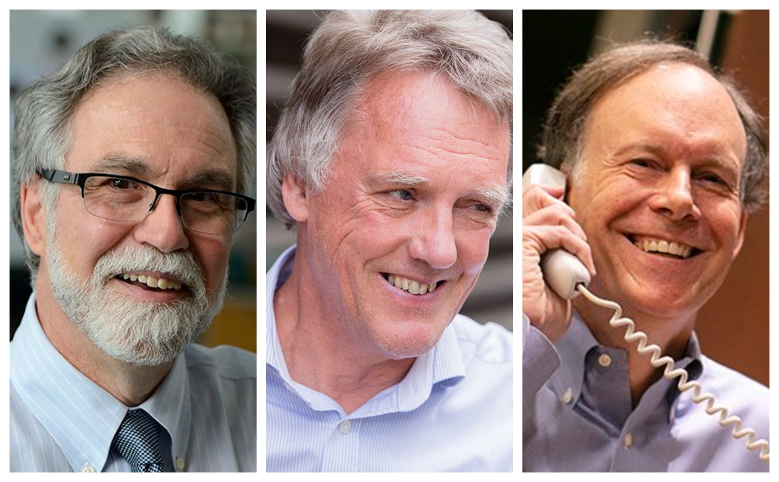 Da esquerda para a direita: Gregg Semenza, Peter Ratcliffe e William G. Kaelin Jr,, os vencedores do Nobel de medicina de 2019. Fotos: Twitter/ Reprodução.