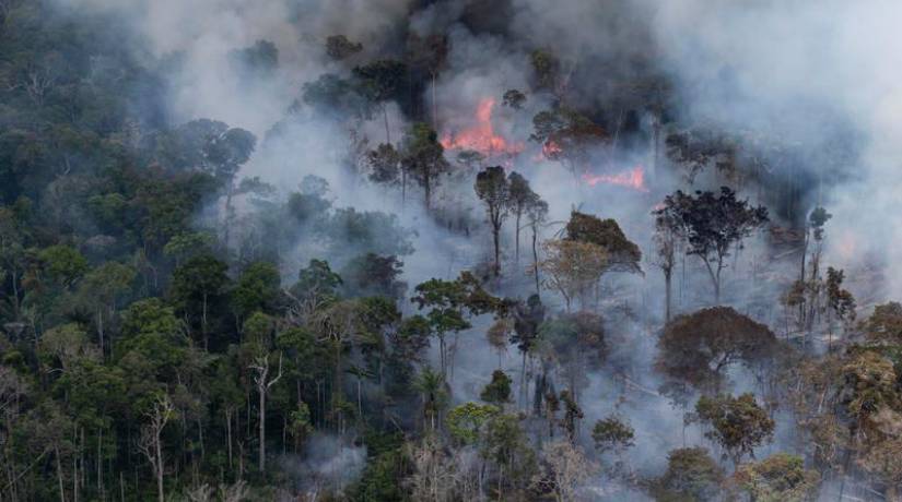 Uma das principais consequências do desmatamento na Amazônia é o aumento do fogo na floresta. Foto: Greenpeace/ Divulgação.