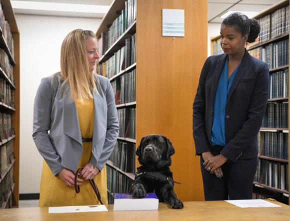 A cadela Hatty jurou cumprir seu dever, como manda a tradição. Foto: Cook County State's Attorney