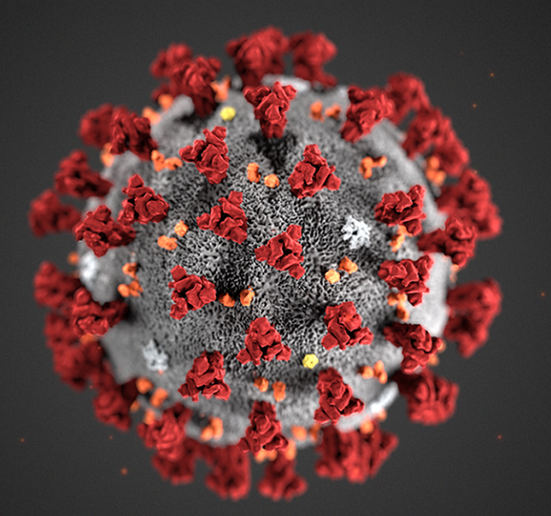 coronavirus