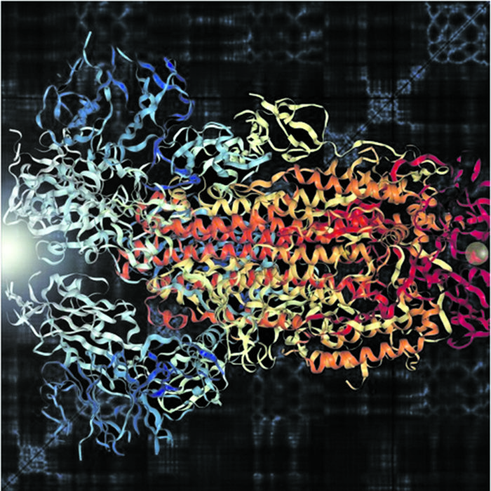 Musica-coronavirus-Edicao-148