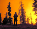 Edição 157, incêndios na Califórnia