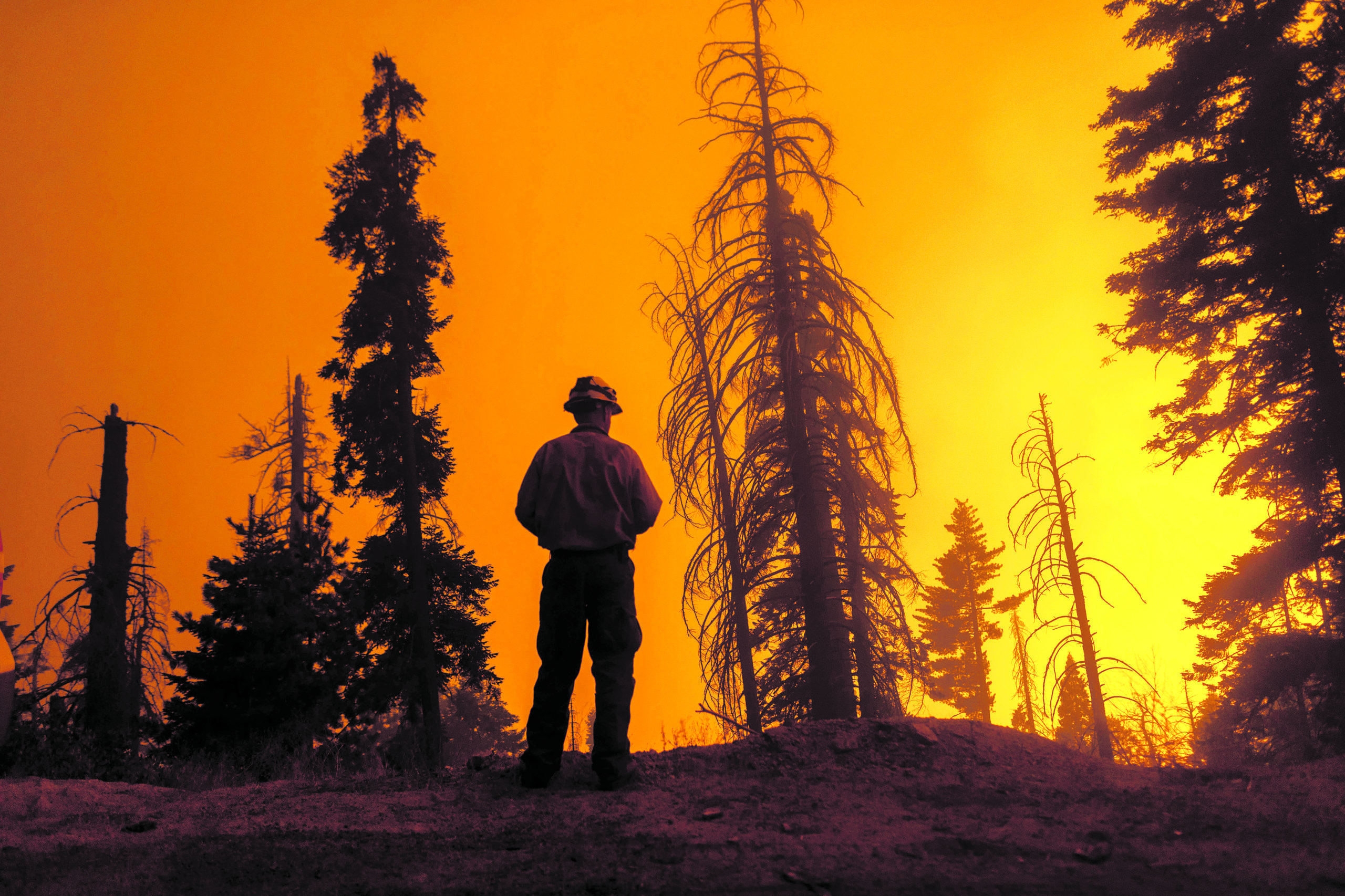 Edição 157, incêndios na Califórnia