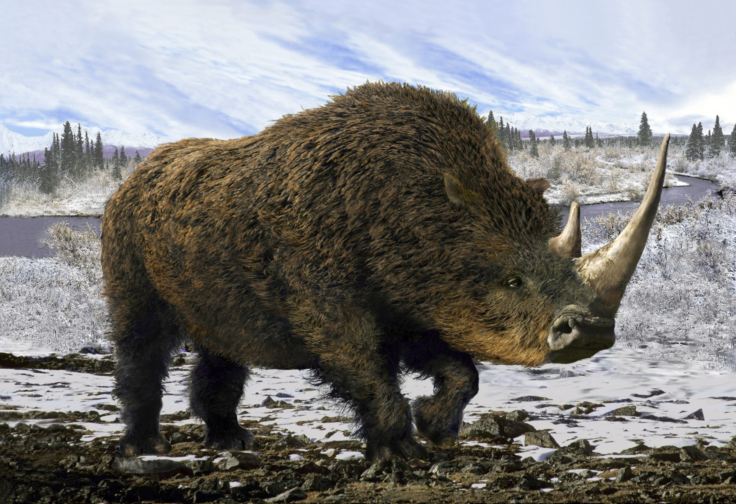 Woolly Rhinoceros – Jornal Joca