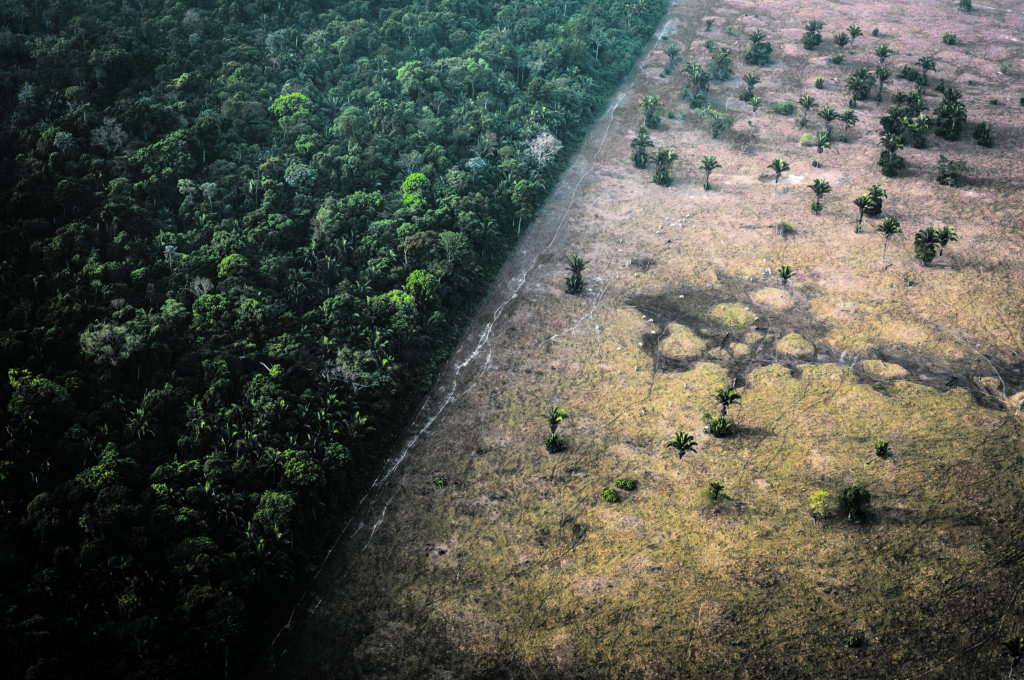 queimada amazônia 173