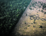 queimada amazônia 173