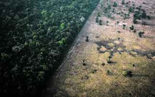 queimada amazônia 173