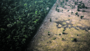 queimada amazônia 173