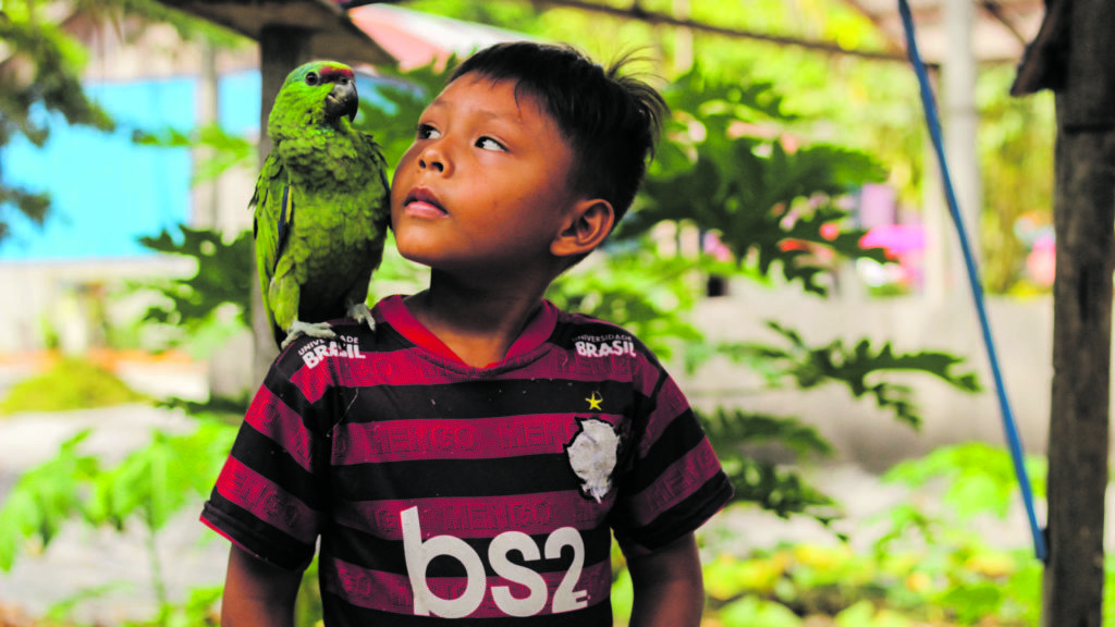 Victor educação infantil indígena na pandemia 173