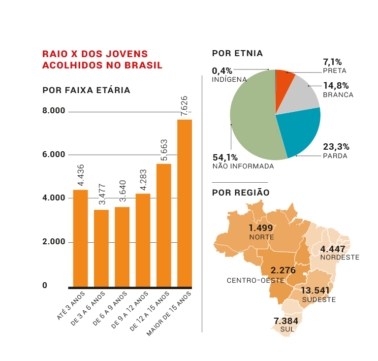 graficos-adocao-brasil