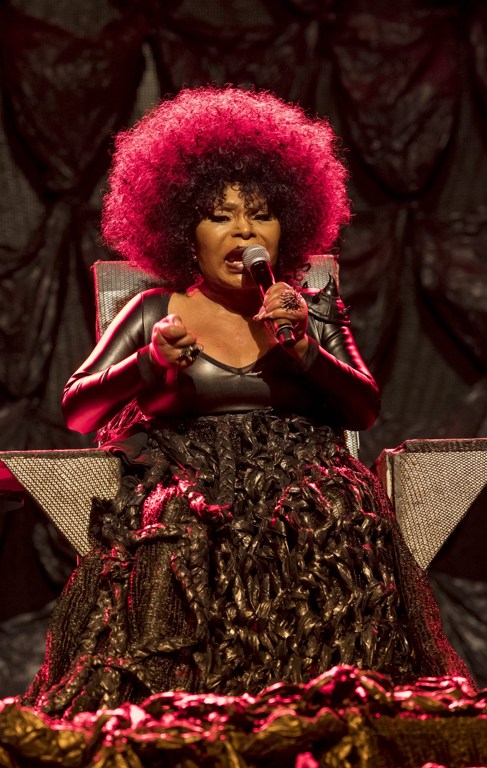 Elza Soares At SummerStage Jornal Joca