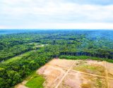 Amazonia-destamatada-getty