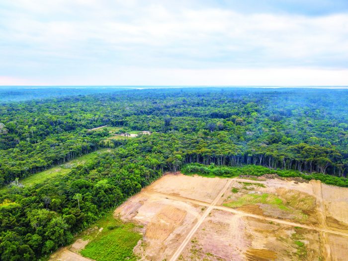 Amazonia-destamatada-getty