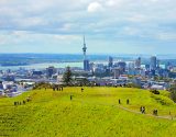 Auckland-Getty