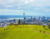 Auckland-Getty