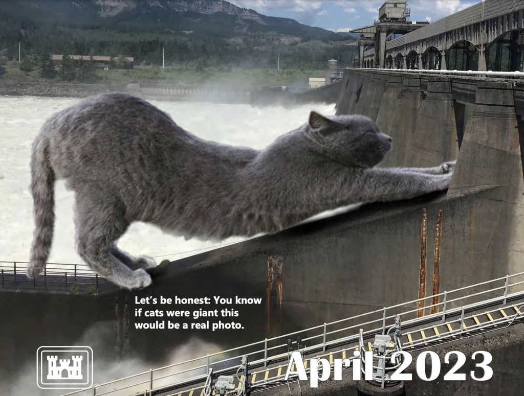 calendario-gatos-2023