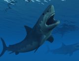 Megalodon-ilustracao-getty