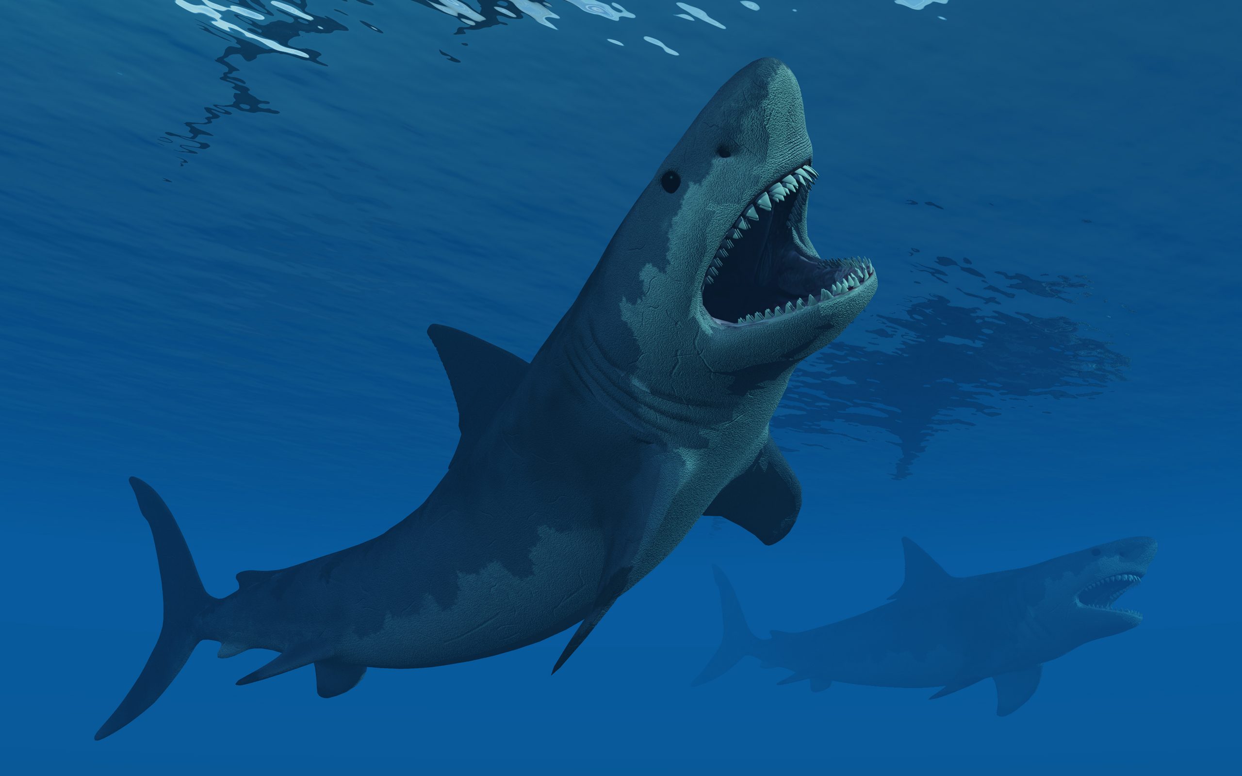 Megalodon-ilustracao-getty