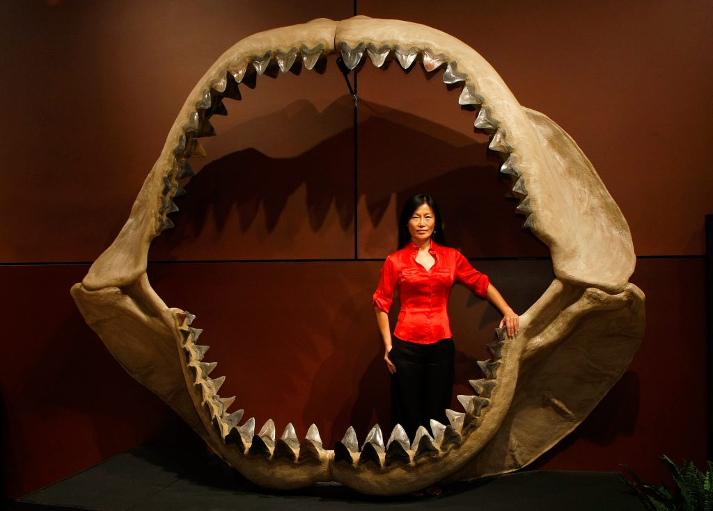 Megalodon-dentes-getty