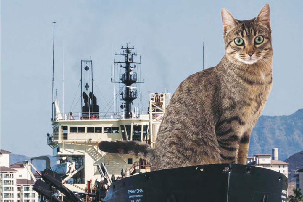 Gato gigante sentado em navio de obras em calendário especial- Crédito de Imagem [US Army Corps of Engineers/SWNS]
