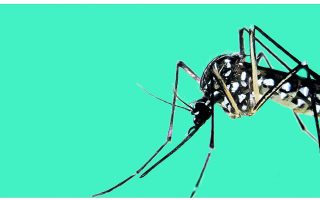 capa_colecao_dengue_201
