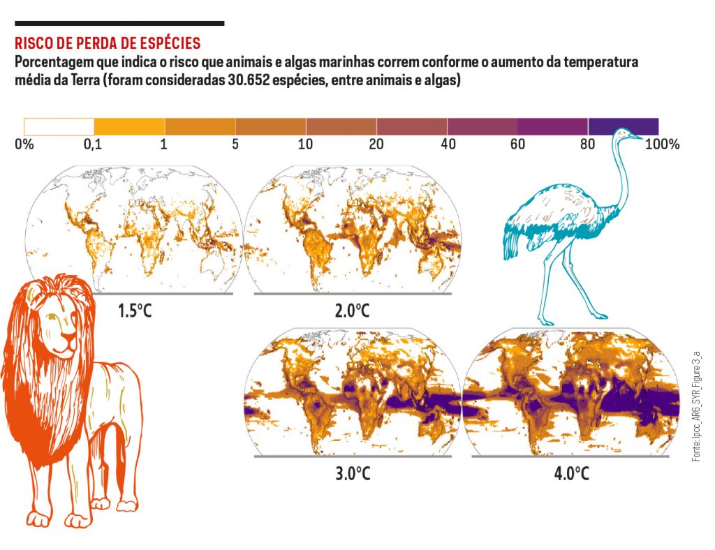 grafico-aquecimento-global-joca-202