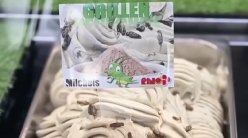 German makes cricketflavored ice cream Level 1 Jornal Joca