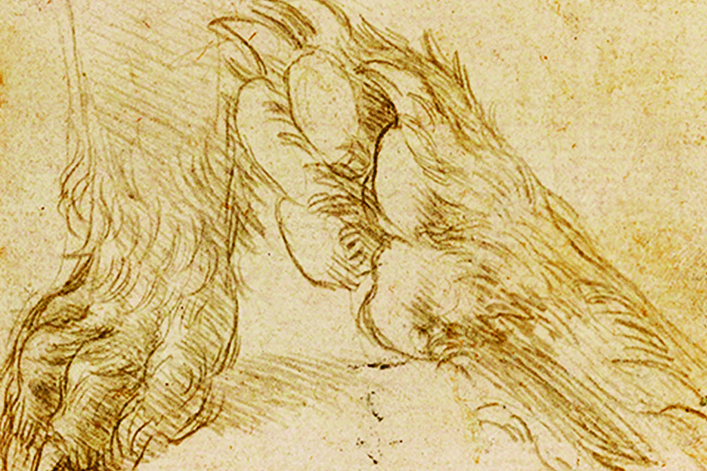 desenho-cao-leonardo-da-vinci