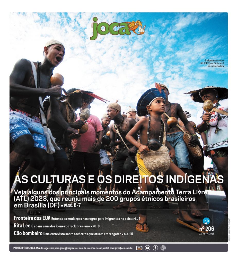 Capa-Joca-206