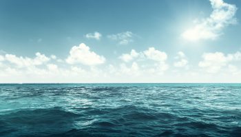 Temperatura dos mares atinge pico histórico e afeta vida marinha e comunidades